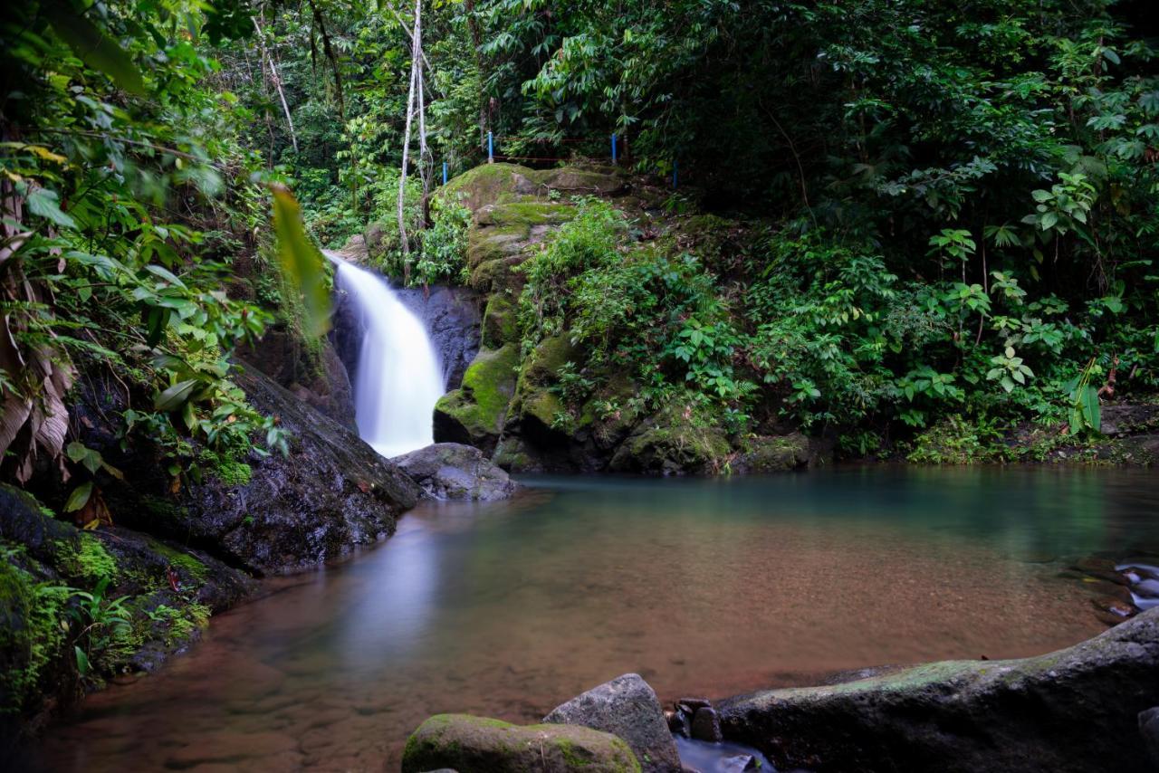Casa Cedro - Portasol Vacation Rentals Matapalo  Luaran gambar