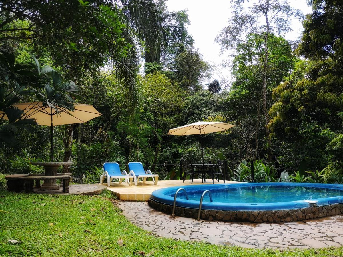 Casa Cedro - Portasol Vacation Rentals Matapalo  Luaran gambar